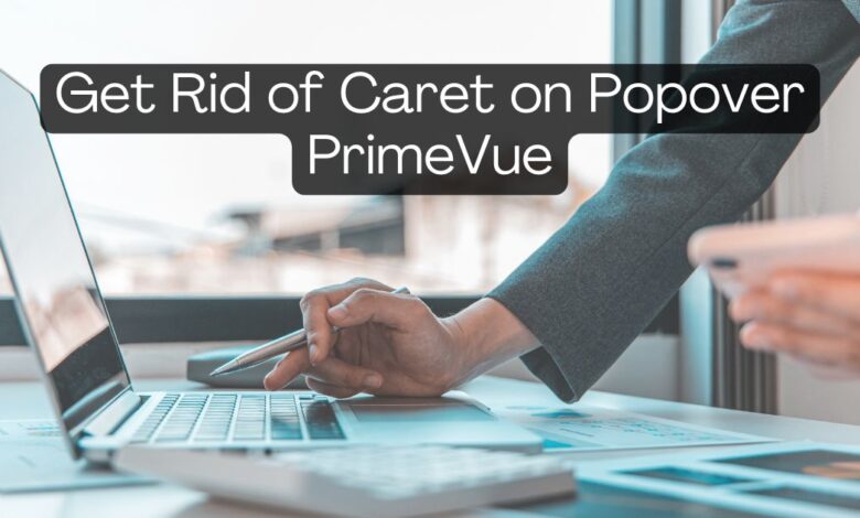 get rid of caret on popover primevue