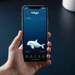 how does beloga app work​